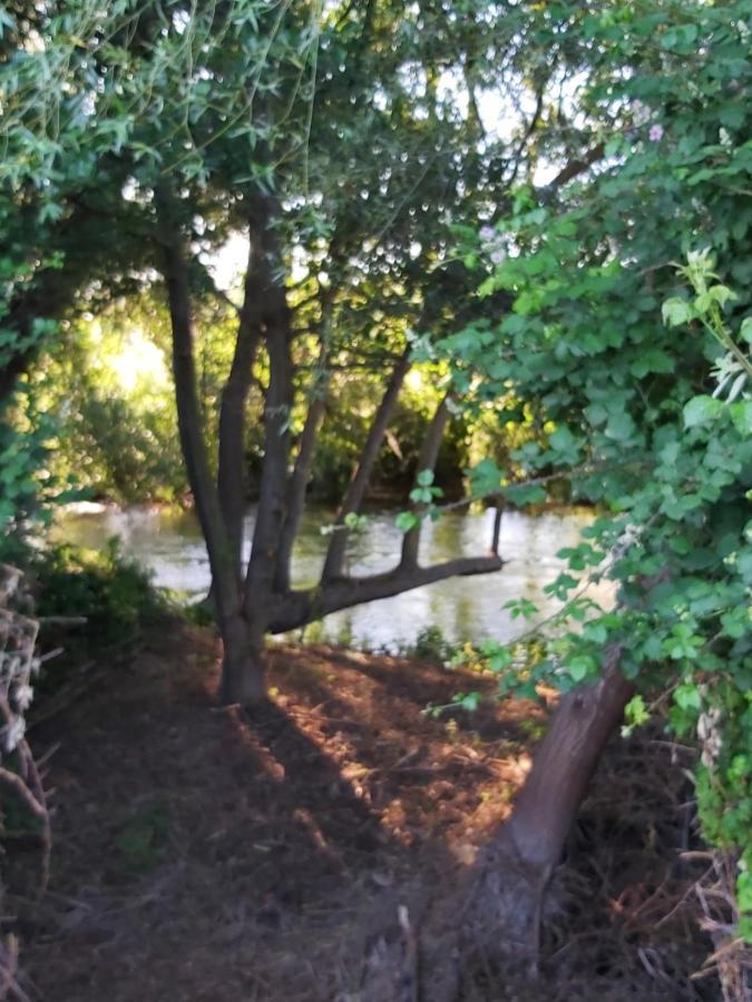 Durmiendo Entre Arboles, Bonita Cabana En La Rioja Anguciana Zewnętrze zdjęcie
